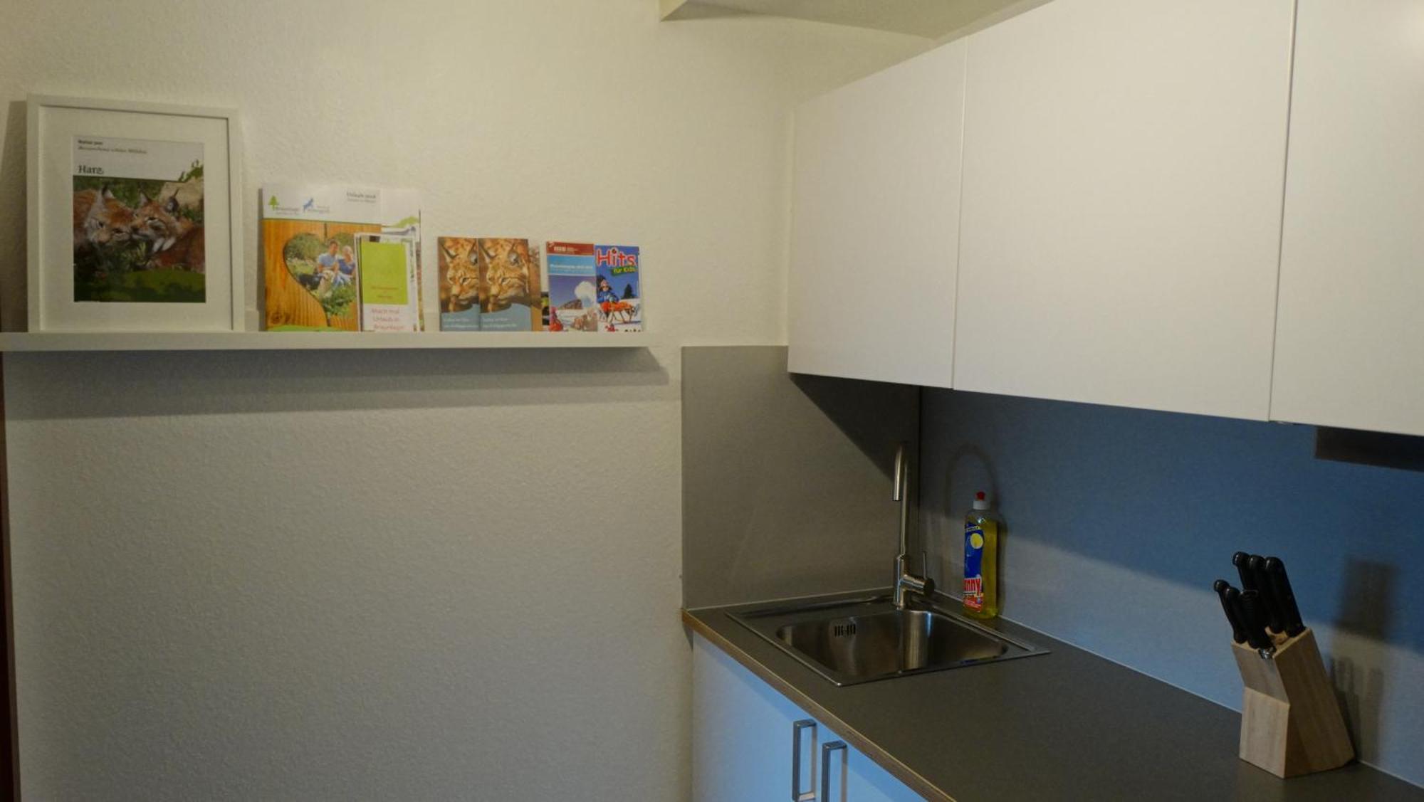 Apartamento Bergziege Braunlage Exterior foto