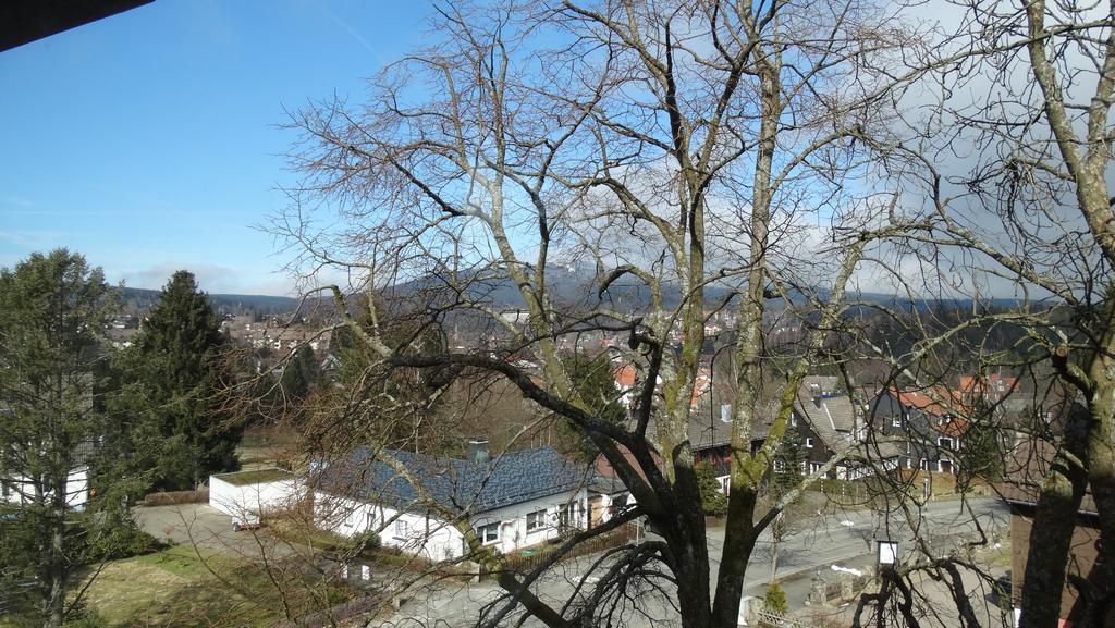 Apartamento Bergziege Braunlage Exterior foto
