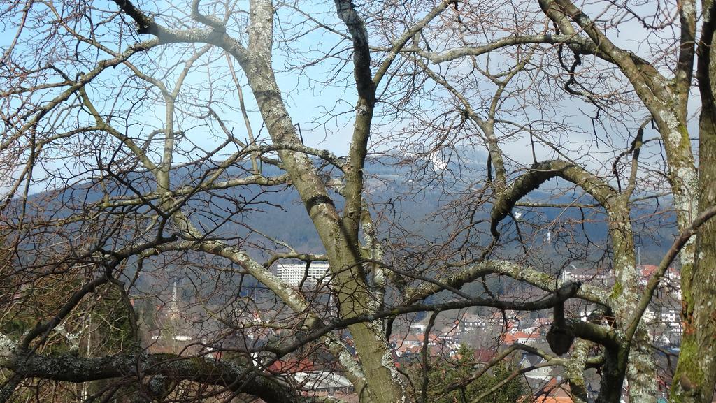 Apartamento Bergziege Braunlage Exterior foto
